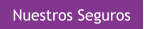 Nuestros Seguros