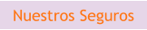 Nuestros Seguros