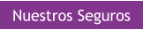 Nuestros Seguros